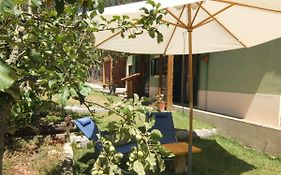 Ecobosque